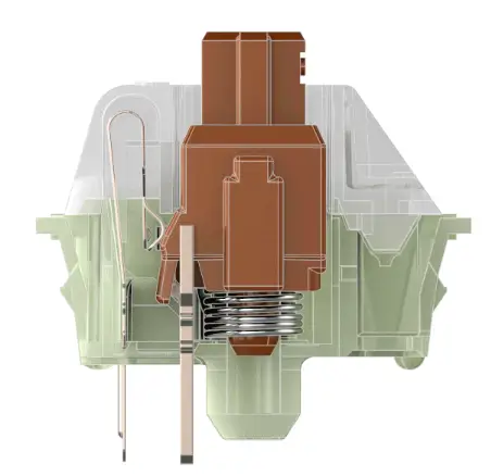 Tactile Switches 