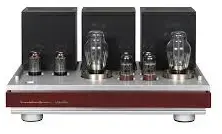 Digital Integrated Amplifiers
