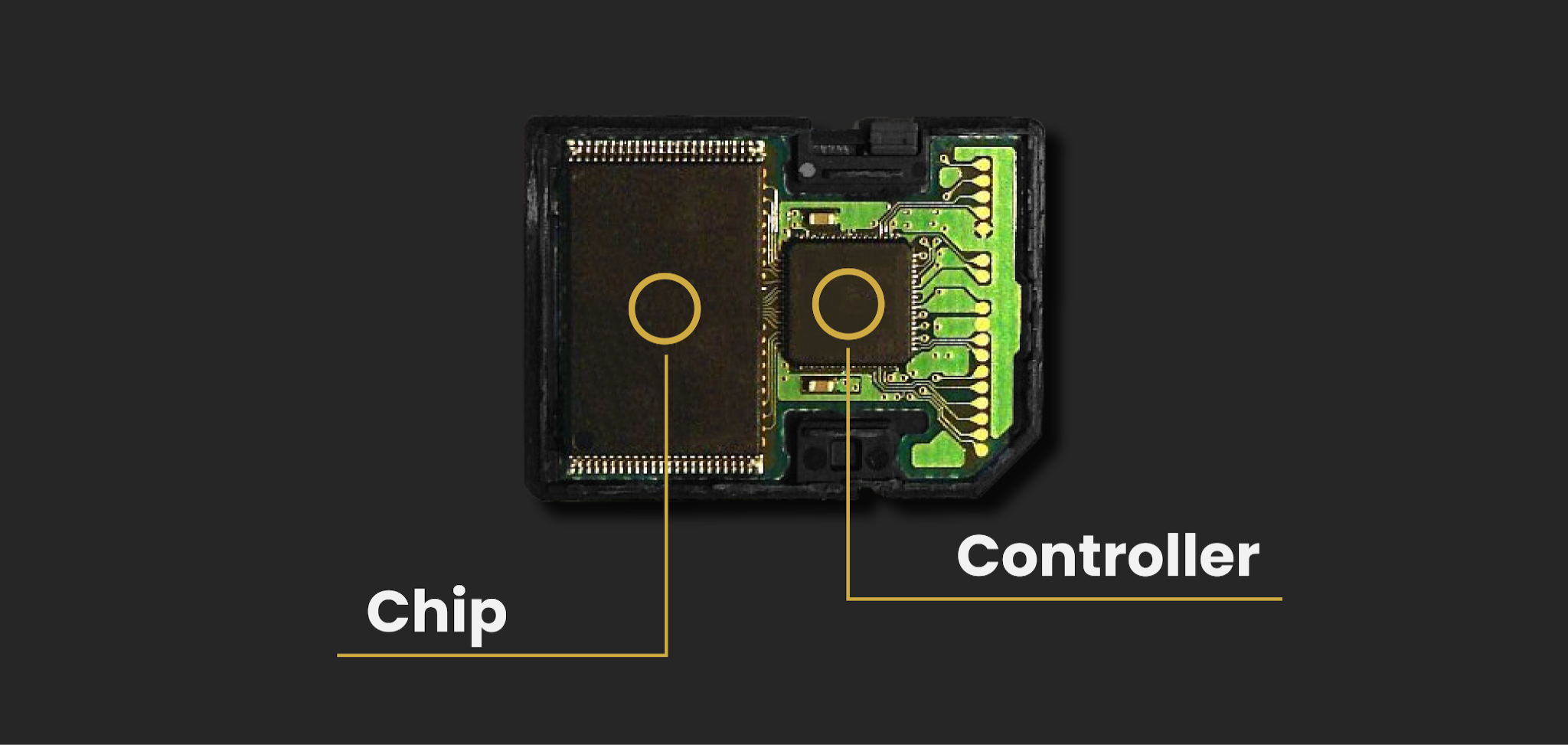 Memory Card