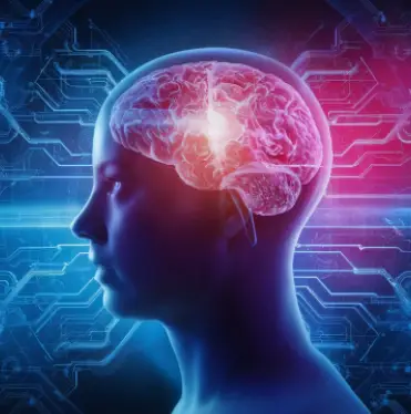 Brain-Computer Interface