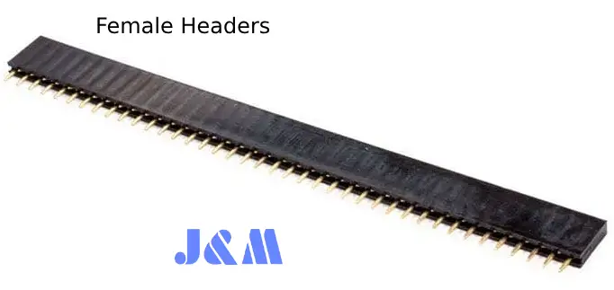 Female Headers